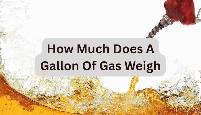 How Much Does A Gallon Of Gas Weigh