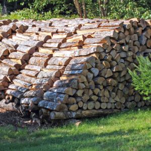 How Much Does a Cord of Firewood Weigh