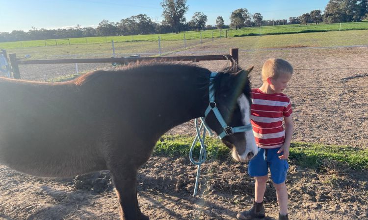 How Much Does A 12.2 Pony Weigh