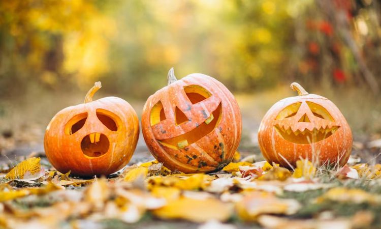 How Much Does A Carving Pumpkin Weigh