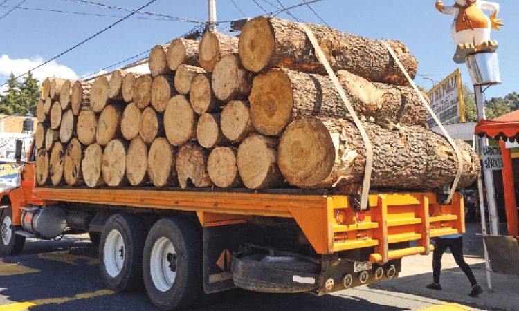 How Much Does A Fully Loaded Logging Truck Weigh
