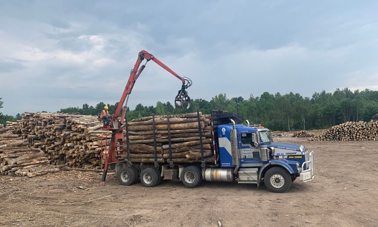 The weight of a load of logs can vary significantly based on the type of wood, the size of the load, and its moisture content. Here's a detailed breakdown of the weight ranges for different types of logs: Hardwood Logs Hardwoods, such as oak, maple, and hickory, are much denser and heavier compared to softwoods. A load of hardwood logs typically weighs between 40,000 to 80,000 lbs (18,144 to 36,287 kg). The density of hardwood logs makes them a popular choice for firewood and construction materials, but their heavier weight also means they require more handling power and stronger transport methods. Softwood Logs Softwoods, such as pine, fir, and spruce, are less dense than hardwoods, so a load of softwood logs generally weighs between 20,000 to 50,000 lbs (9,072 to 22,680 kg). These logs are commonly used for paper production, building materials, and furniture. They are easier to handle and transport compared to hardwood logs due to their lighter weight. Mixed Wood Logs A combination of hardwood and softwood, mixed wood logs usually weigh between 30,000 to 60,000 lbs (13,608 to 27,216 kg). These logs are often used for various purposes, from construction to heating. Specialty Logs Certain specialty logs, such as dense tropical hardwoods or particularly large trees, can weigh from 50,000 to 80,000 lbs (22,680 to 36,287 kg) or more, depending on the species and size of the logs being transported.