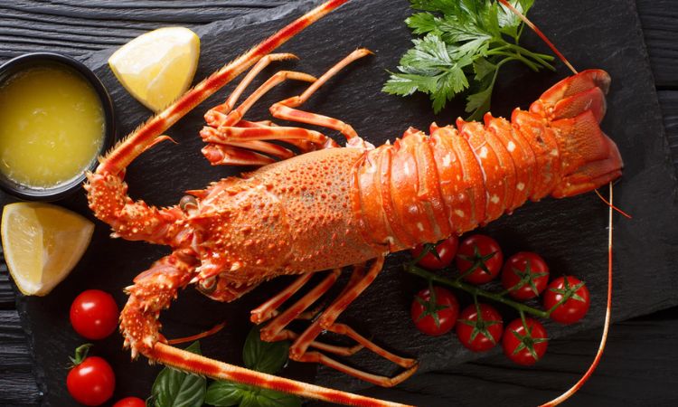 How Much Does A Lobster Weigh