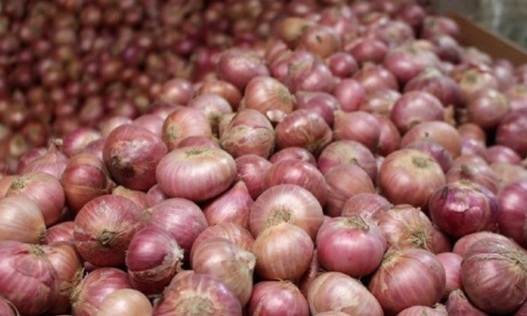 How Much Does a Medium Onion Weigh