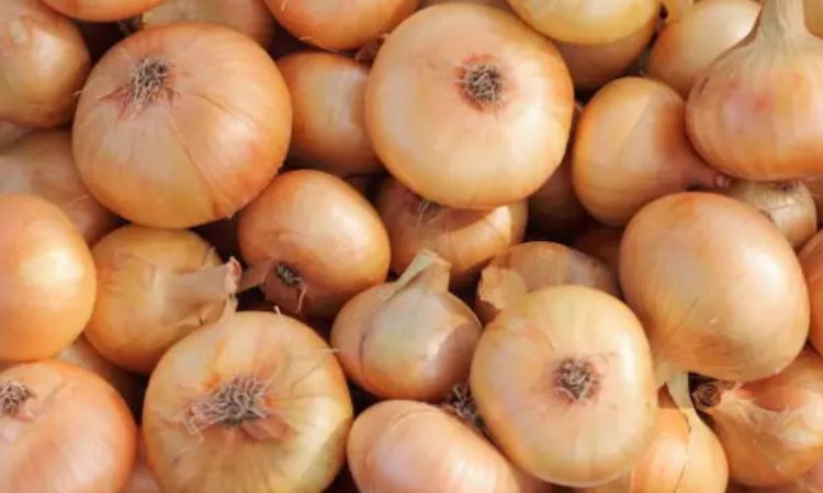 How Much Does a Medium Yellow Onion Weigh?