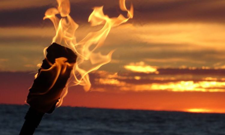 How Much Does a Wooden Torch Weigh?